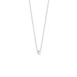 Evelyn Choker Necklace