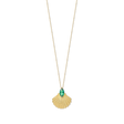 Pamela Shell Necklace