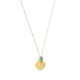 Pamela Shell Necklace