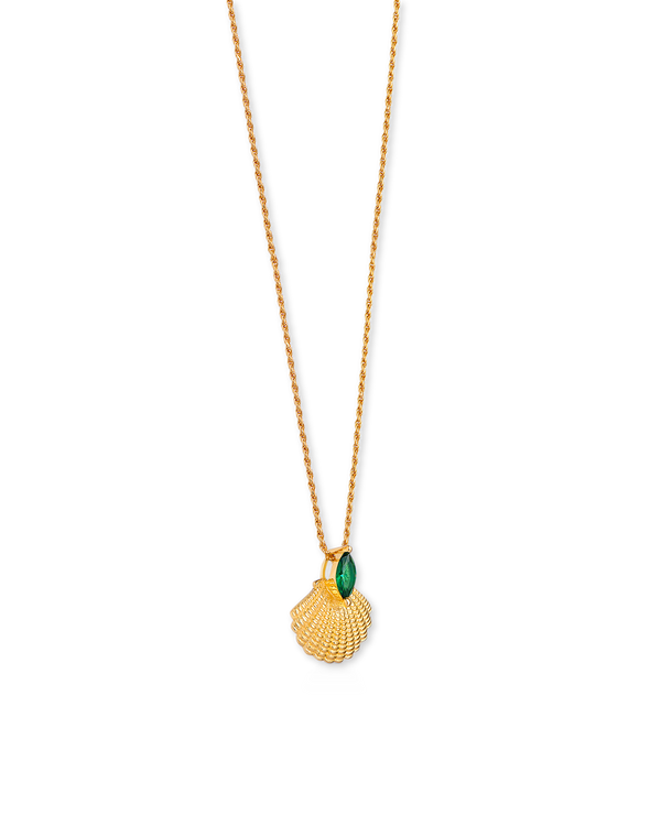 Pamela Shell Necklace on Rope Chain