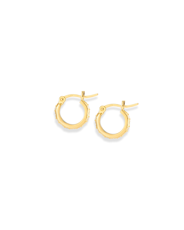 Lena Gold Hoop Earrings + Hex Charms