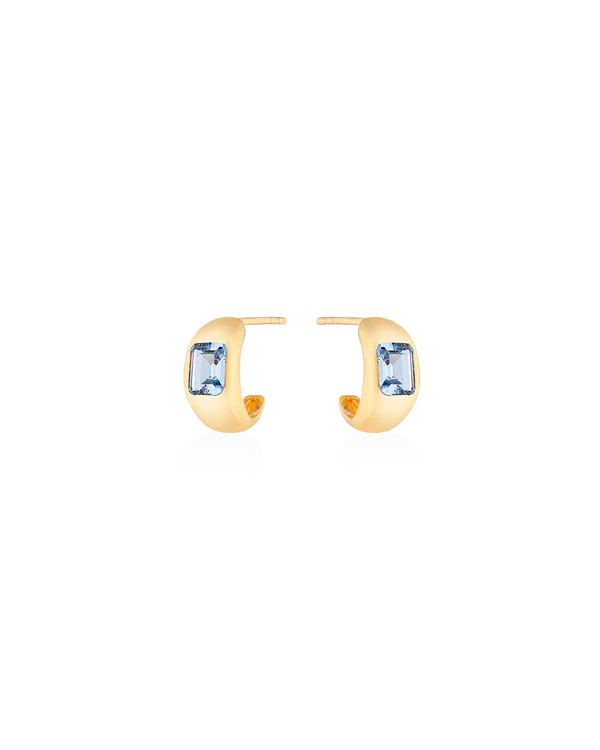 Diana Mini Chubby Hoop Earrings