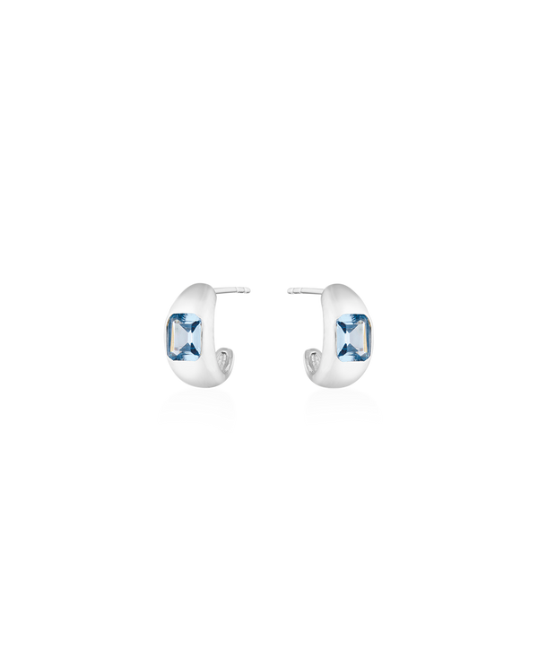 Diana Mini Chubby Hoop Earrings
