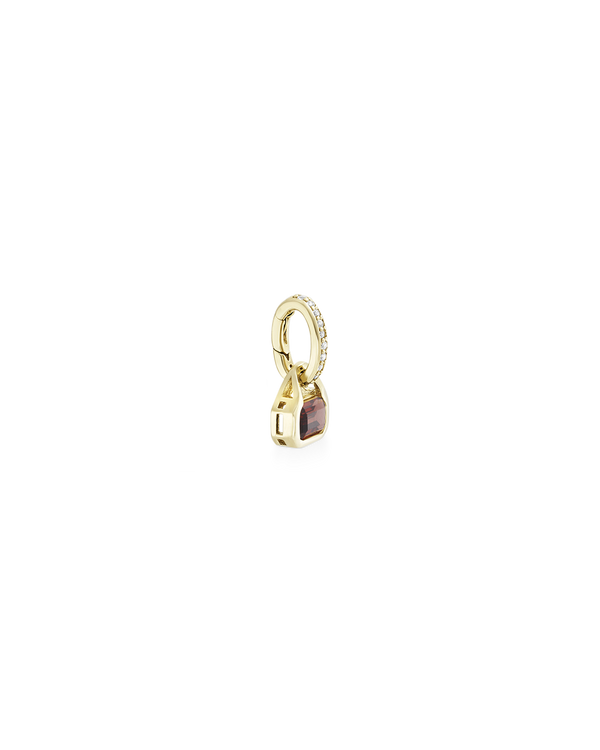 January: Garnet Charm