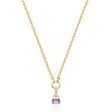 February: Amethyst Charm on Carrier Chain