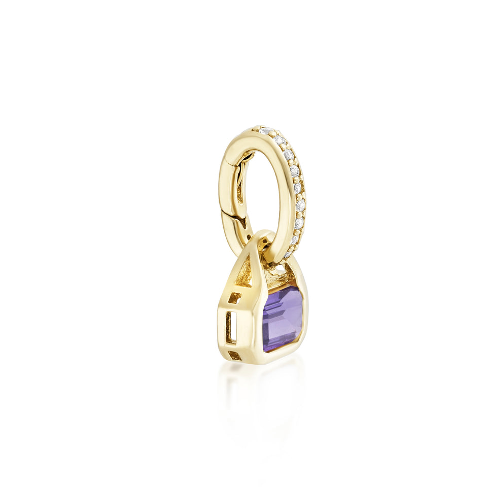 February: Amethyst Charm on Carrier Chain
