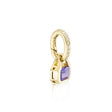 February: Amethyst Charm on Carrier Chain