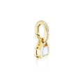 June: Moonstone Charm on Carrier Chain