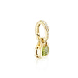 August: Peridot Charm on Carrier Chain