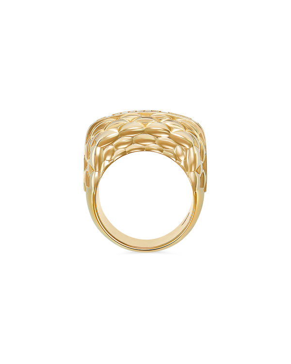 Anna Vitiello's Ring