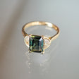 Ravi's Ring