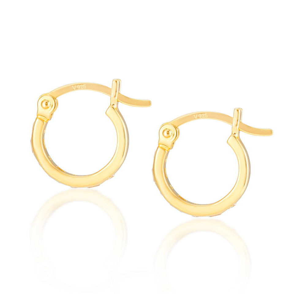 Iris Hoop Earrings