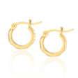 Lena Gold Hoop Earrings