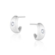 Tina Mini Chubby Hoop Earrings