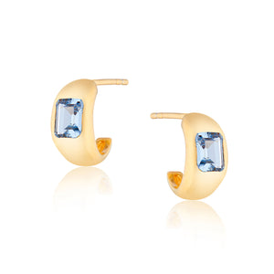Diana Mini Chubby Hoop Earrings