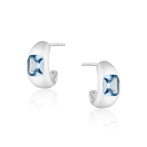 Diana Mini Chubby Hoop Earrings