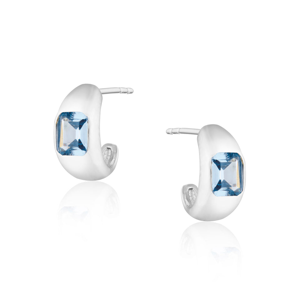 Diana Mini Chubby Hoop Earrings